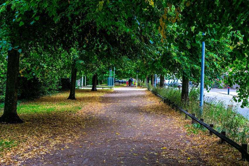 København Vineyard