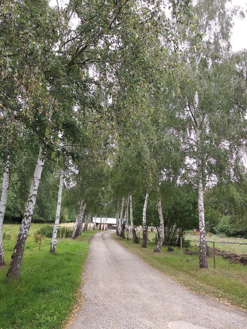 Viskinge – Avnsø Sognegård